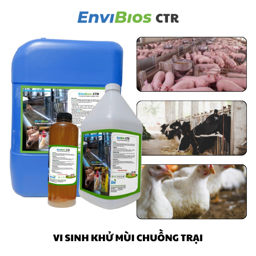 Chế phẩm sinh học xử lỳ mùi hôi chuồng trại chăn nuôi
