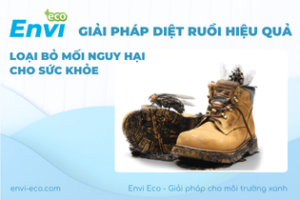 giải pháp diệt ruồi hiệu quả