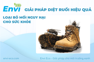 giải pháp diệt ruồi hiệu quả