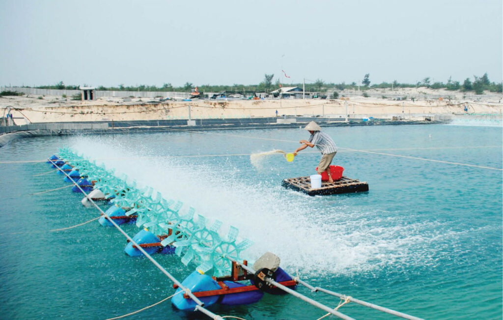 xử lý nước nuôi thủy sản