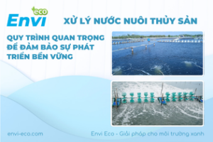 xử lý nước nuôi thủy sản