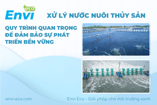 xử lý nước nuôi thủy sản