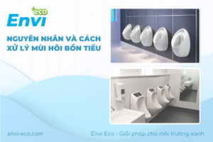 nguyen nhan va cach xu ly mui hoi bon tieu