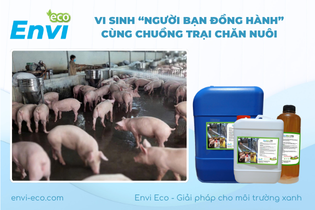 vi sinh nguoi ban dong hanh cung chuong trai chan nuoi envi eco