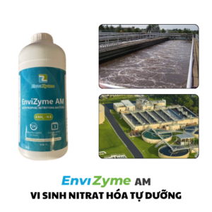 vi sinh nitrat hóa tự dưỡng
