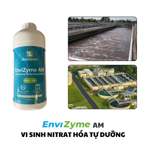 Vi sinh nitrat hóa tự dưỡng