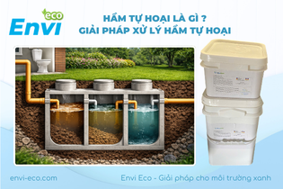 Hầm tự hoại là gì? Giải pháp xử lý hầm tự hoại