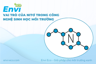 nitơ trong công nghệ sinh học
