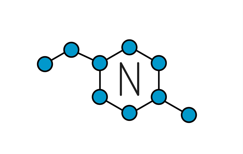 nitơ trong công nghệ sinh học
