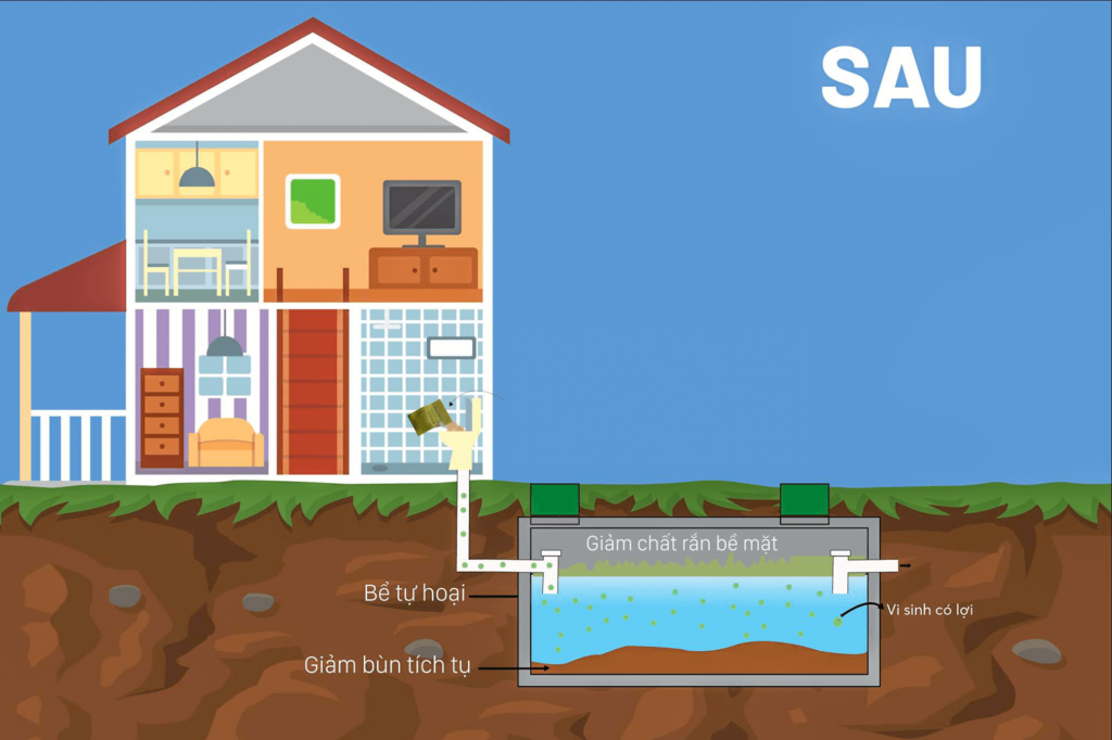 sau khi xử lý bằng vi sinh envibios septic