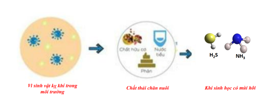 nguyên lý phát sinh mùi hôi