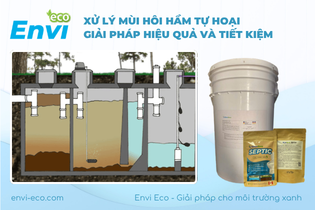 xử lý mùi hôi hầm tự hoại